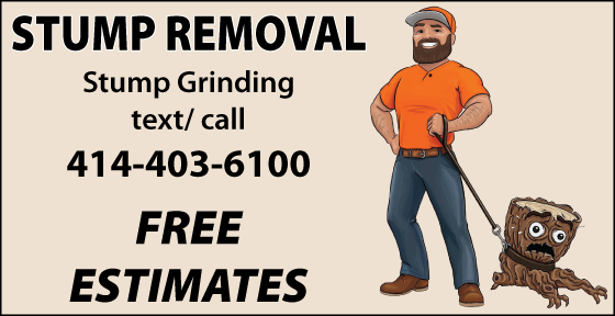 PROFESSIONAL STUMP REMOVAL